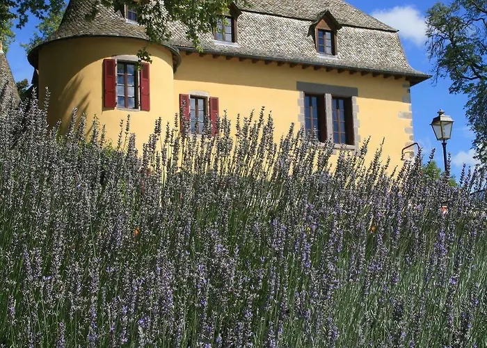 Chateau De Salles 4*