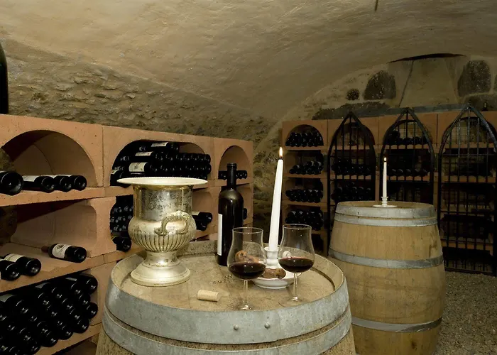 Chateau De Salles Hotel 4*