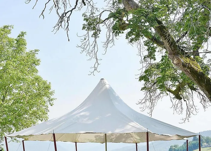 Chateau De Salles Vézac