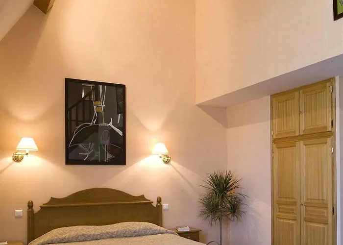 Chateau De Salles 4*