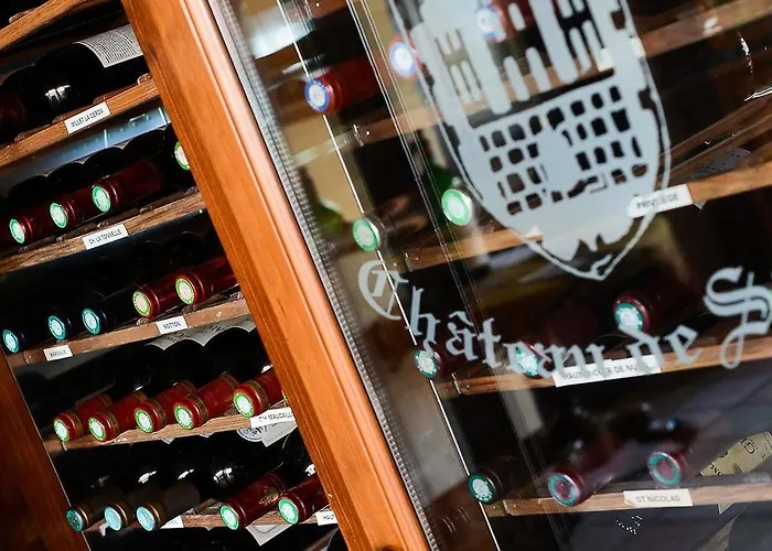 Chateau De Salles Hotel Vézac