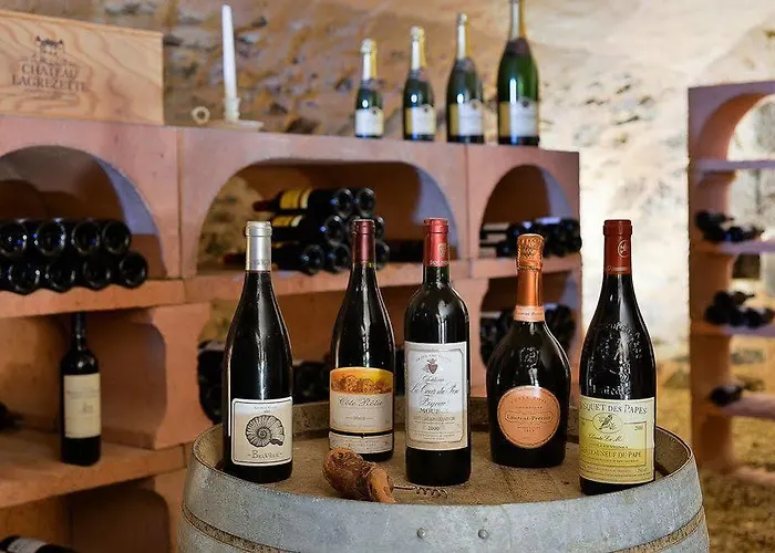 Chateau De Salles 4*