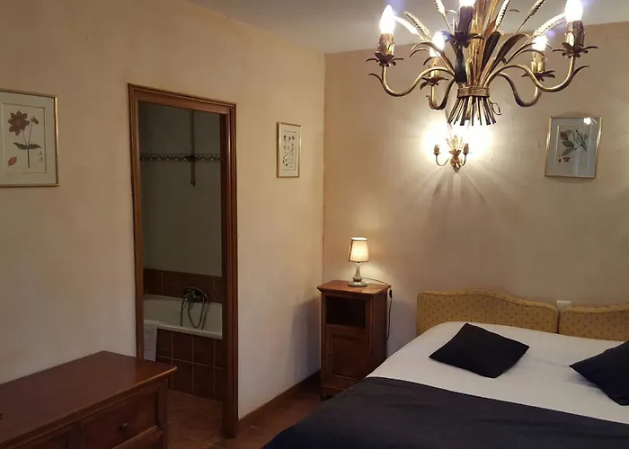 Hotel Chateau De Salles 4*